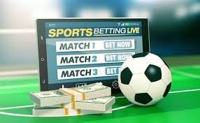 Betwinner Türkiye'deki En İyi Bahis Deneyimi 1113113033
