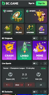 Understanding BC Game Mirror Sites A Complete Guide