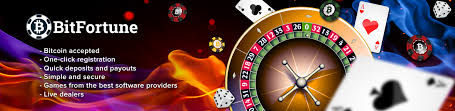 Exploring Book of Dead with Cryptocurrency A New Era in Online Gambling