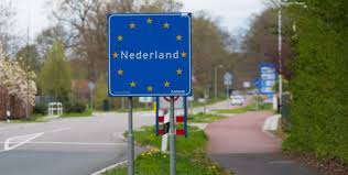 Oude Koeienrassen in Nederland Een Blessing voor Boeren en Natuur Oude Koeienrassen in Nederland Een Blessing voor Boeren en Natuur