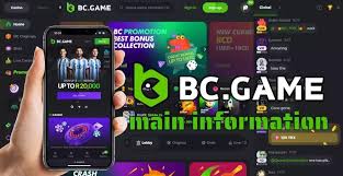 BC.Game Mirror Your Gateway to Secure Gaming