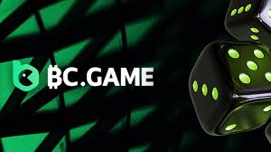 Exploring the Excitement of Online Crypto Casino BC Game