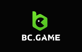 Unlocking the Potential of BC.Game Bonuses Your Guide to Maximizing Rewards