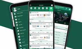 Comprehensive Overview of BetWinner Platform