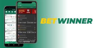 Comprehensive Overview of BetWinner Platform
